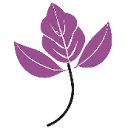 Nepeto logo